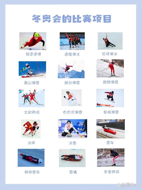 2022年北京冬奥会共有几个分项目(2022年北京冬奥会设有几个项目)-第5张图片-无暮网 2022年北京冬奥会共有几个分项目(2022年北京冬奥会设有几个项目)-第5张图片-无暮网