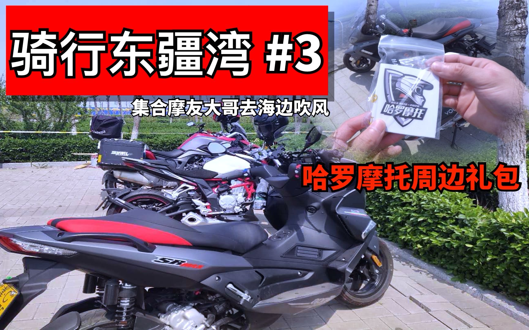 哈罗摩托app正版下载(哈罗摩托app正版下载官网)