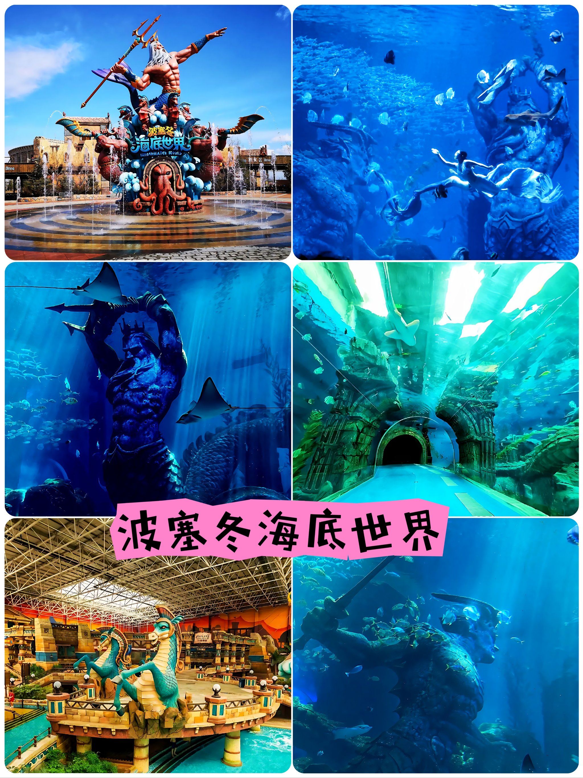 失落的深海王国(失落的深海王国在线观看)