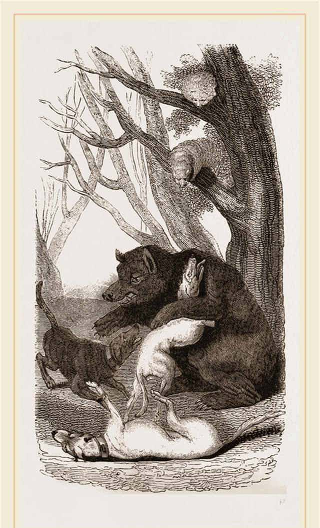 昏暗深山逃脱攻略(昏暗深山逃脱攻略大全)