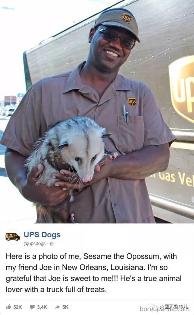 不幸的邮递员最新版本(不幸的邮递员下载10)