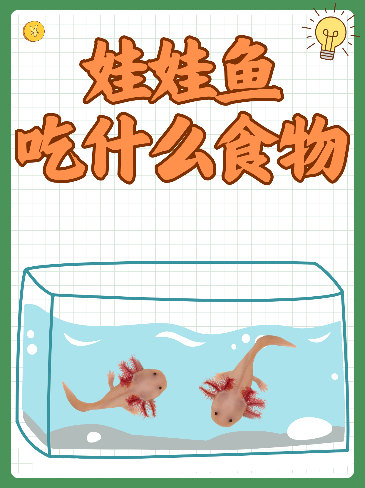 浮游生物吃东西游戏()