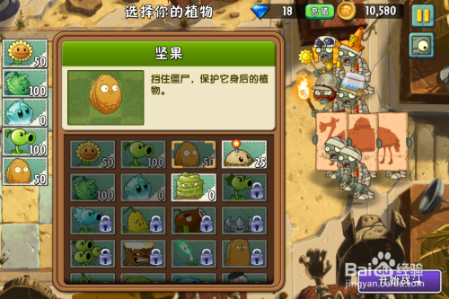 坚果保卫战破解版(保卫坚果中文破解版)