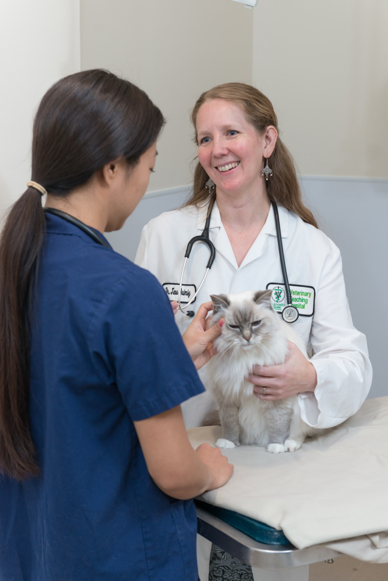 feelteaching破解版(teachingfeelin30破解版)