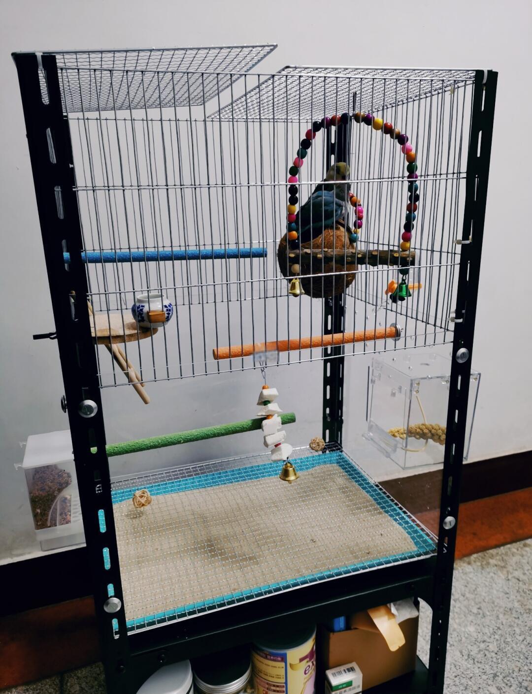 逃脱鸟笼攻略(逃脱牢笼的鸟漫画结局)