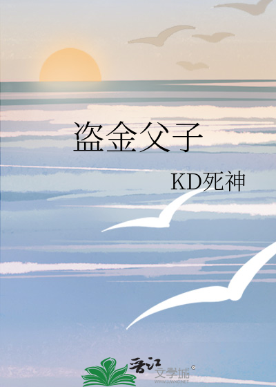 盗金父子攻略(盗金父子20关怎么过)