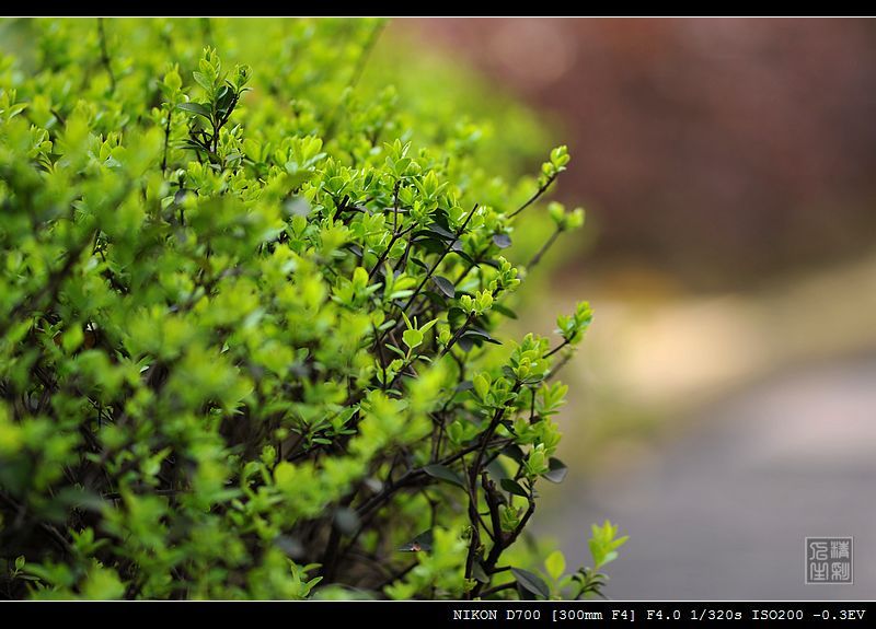 我的春天0.3攻略(我的春天游戏奖励代码是什么)