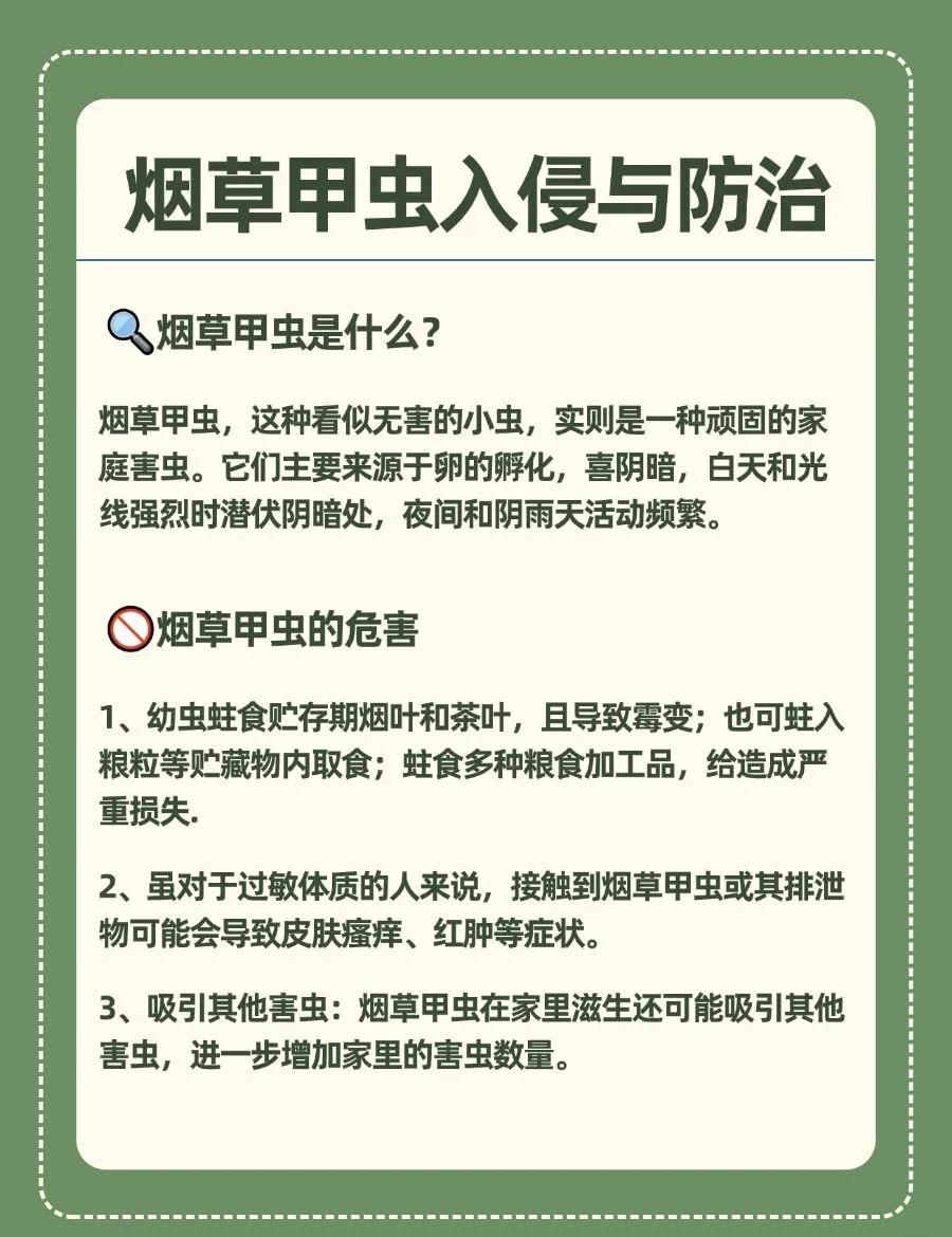 拯救甲虫攻略(拯救甲虫攻略第二章)