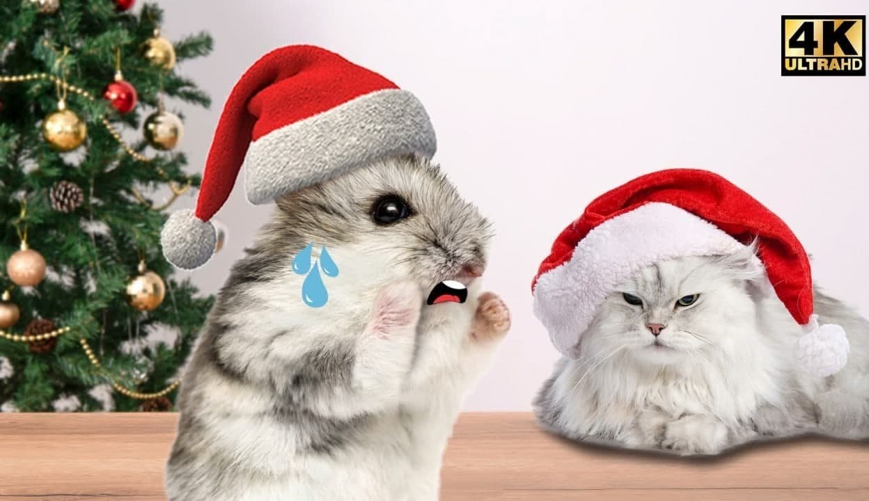 仓鼠快跑2攻略(仓鼠快跑2攻略视频)