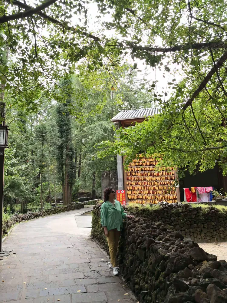 逃离林中小村攻略(逃离林中小村攻略图文)