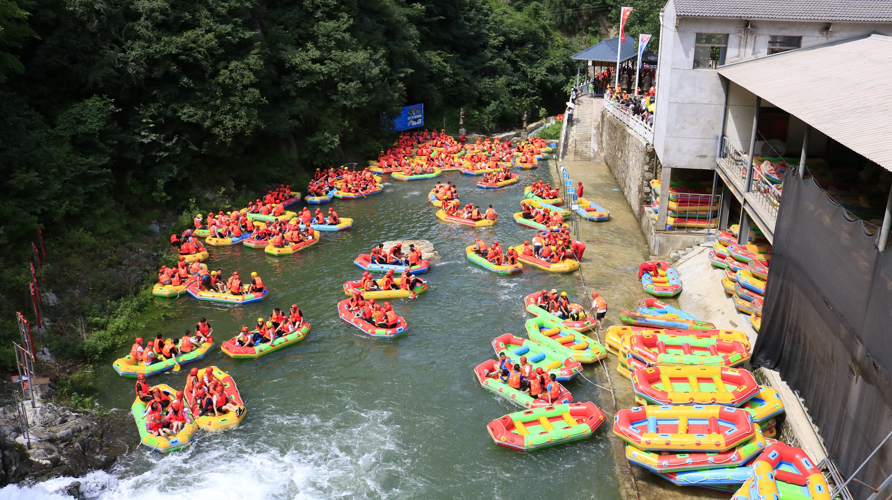 种子漂流攻略(种子漂流记读后感)