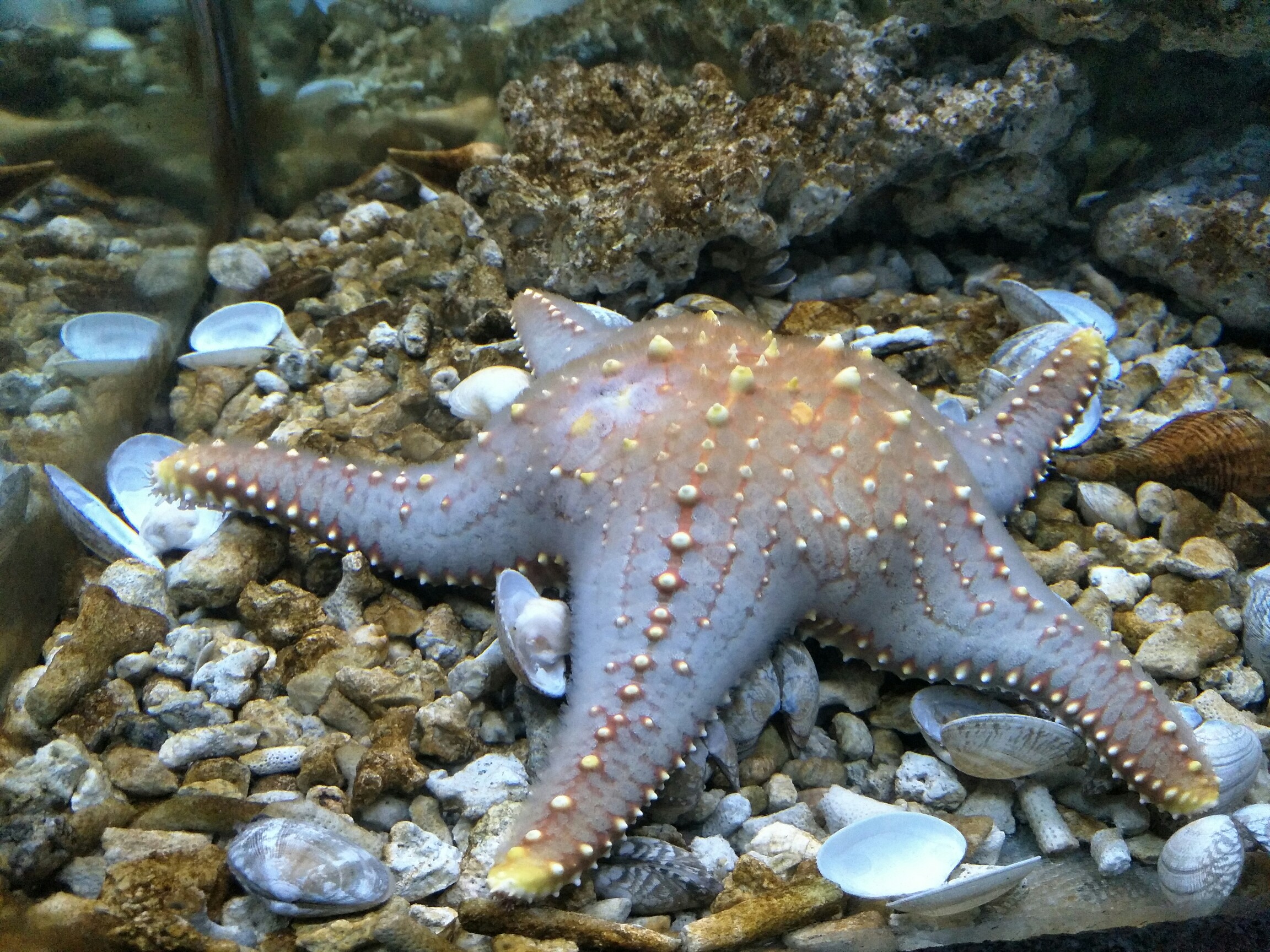 2025年9月28日 第177页