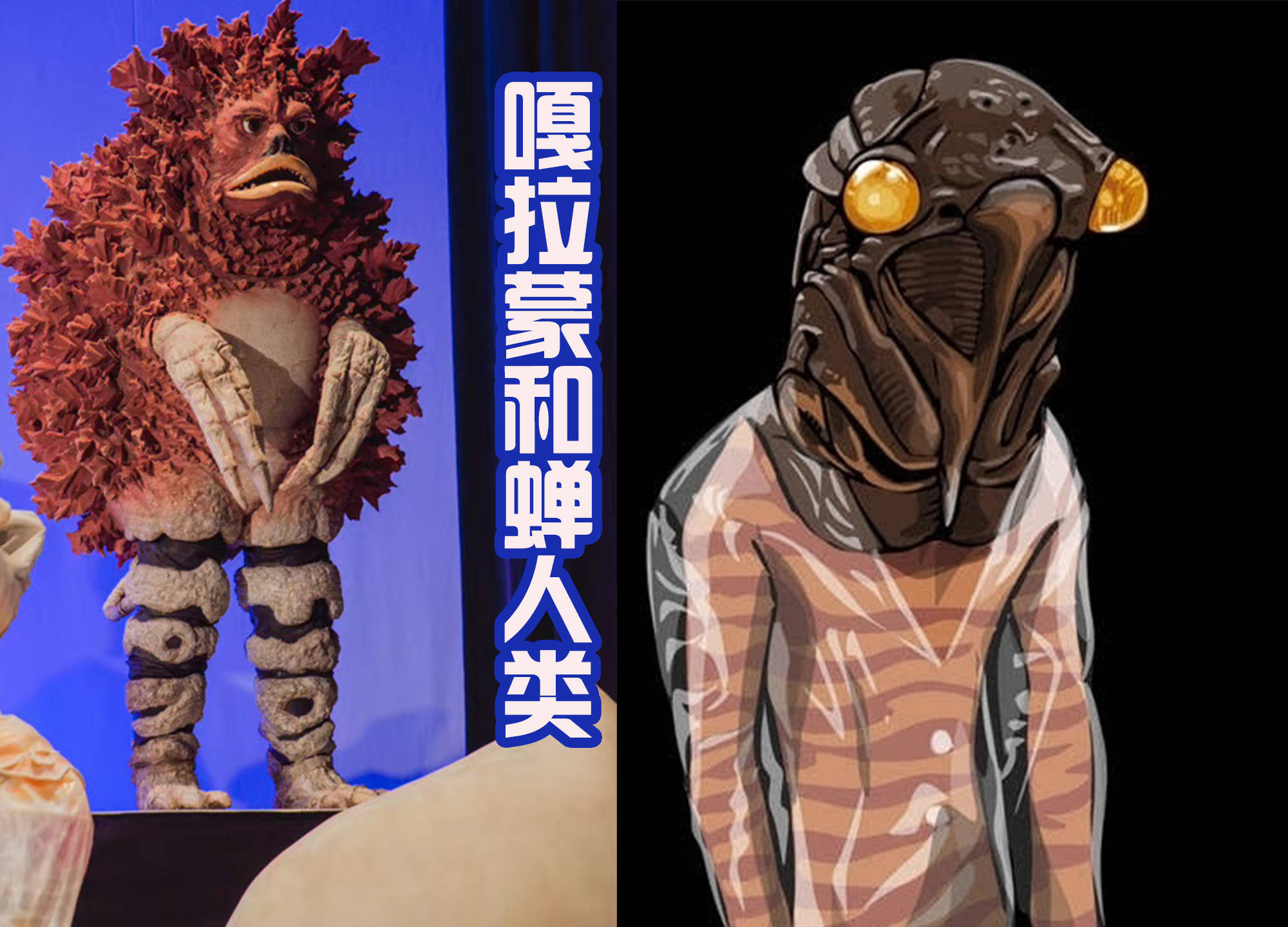 奥特曼怪兽的奥特曼(奥特曼怪兽的奥特曼关系)