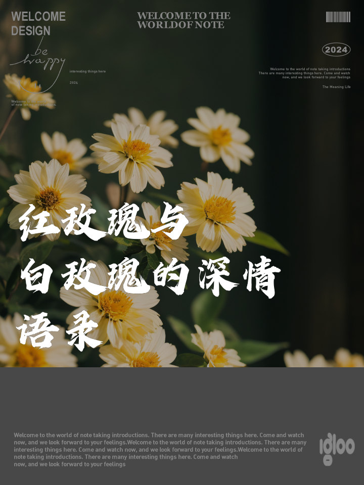 红玫瑰与白玫瑰攻略(红玫瑰与白玫瑰的抉择)