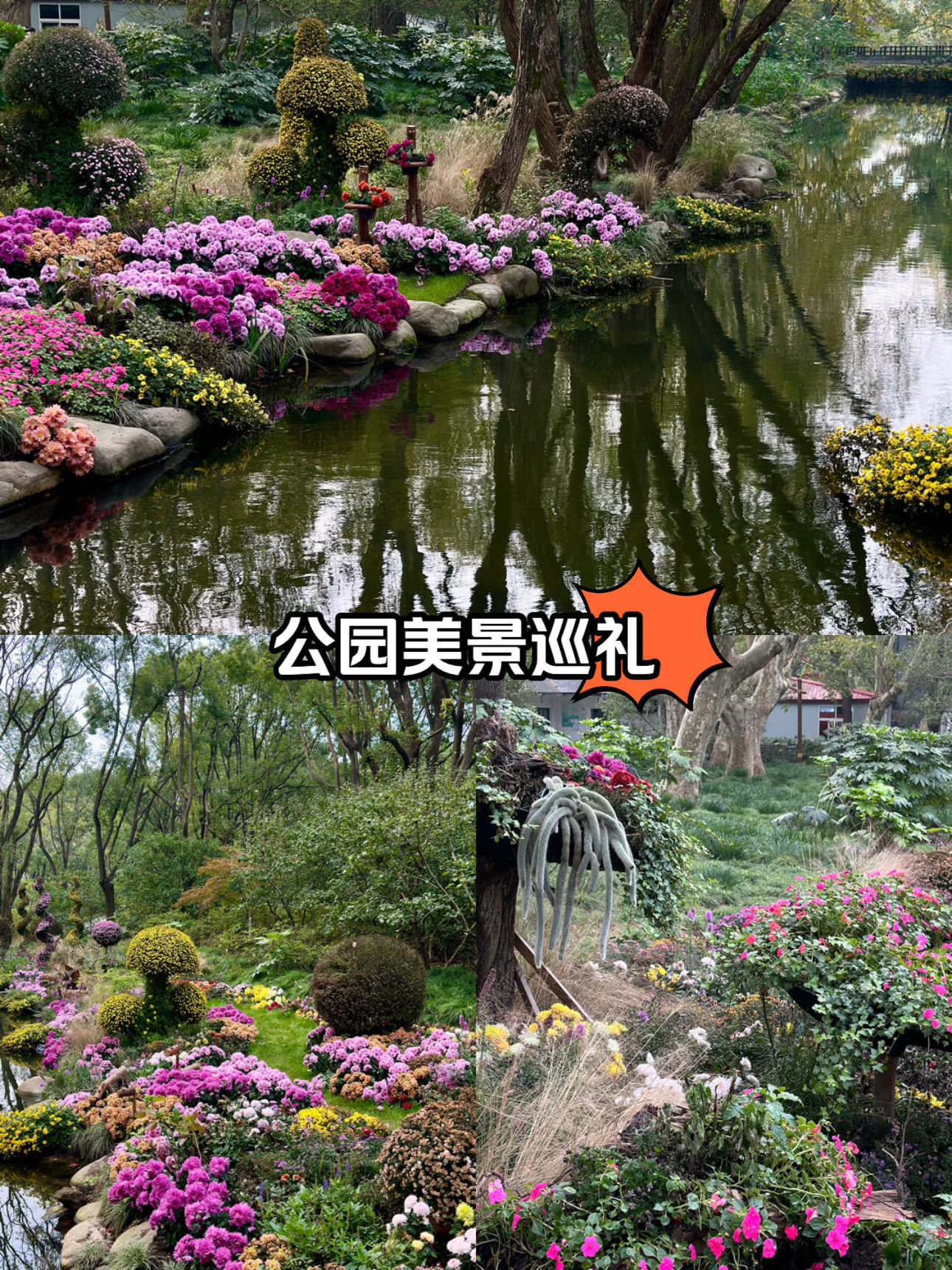 秘密花园手机版攻略(秘密花园游戏攻略步骤)