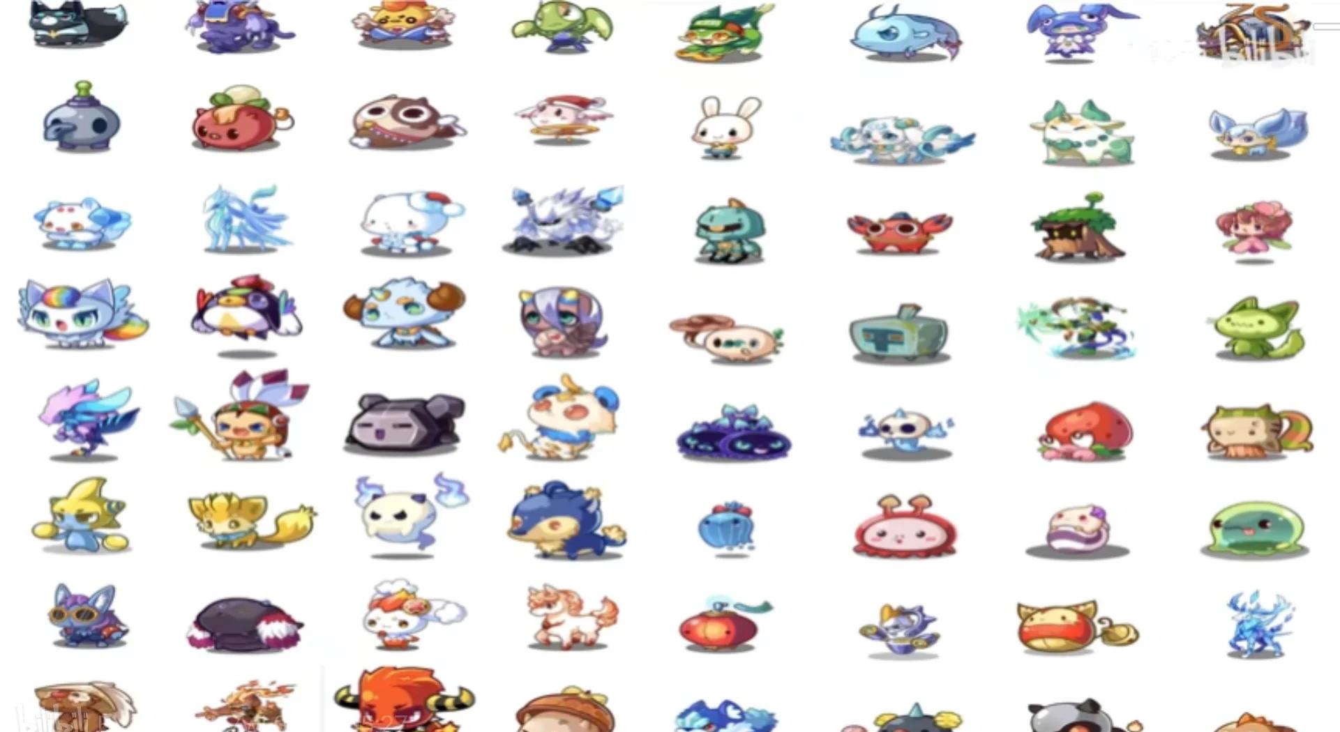 洛克王国宠物装备大全(洛克王国宠物饰品有哪些)