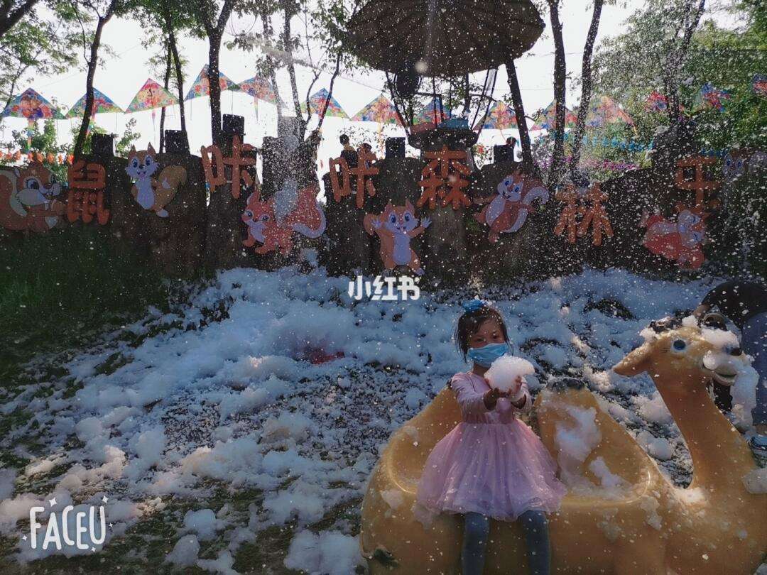 森林松鼠逃脱攻略(森林松鼠皮怎么获得)