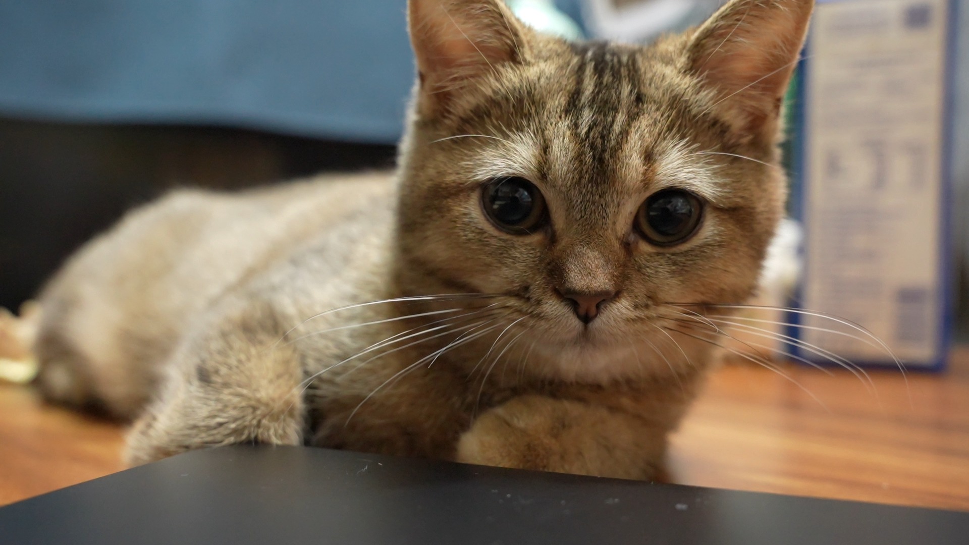 2025年9月 第64页