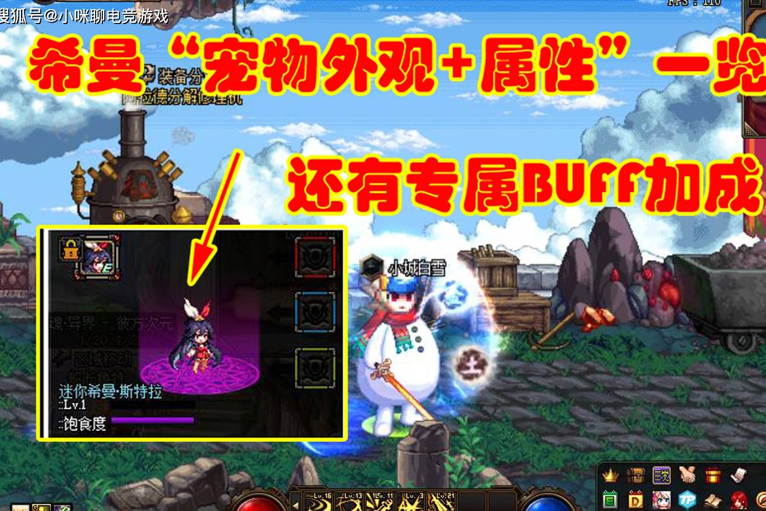 dnf宠物变小(dnf宠物突然不见了)