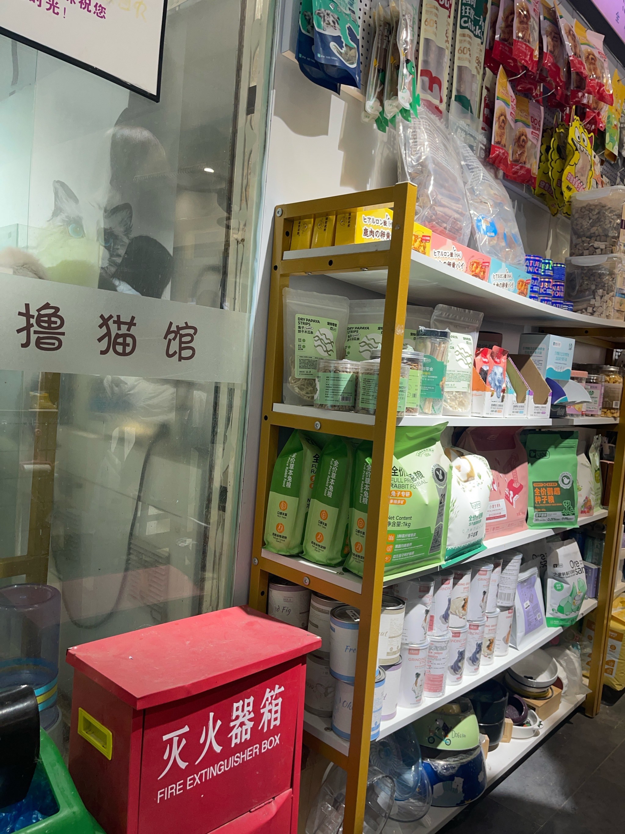 猫咪后院商店最新版本(猫咪后院最新版本2021)