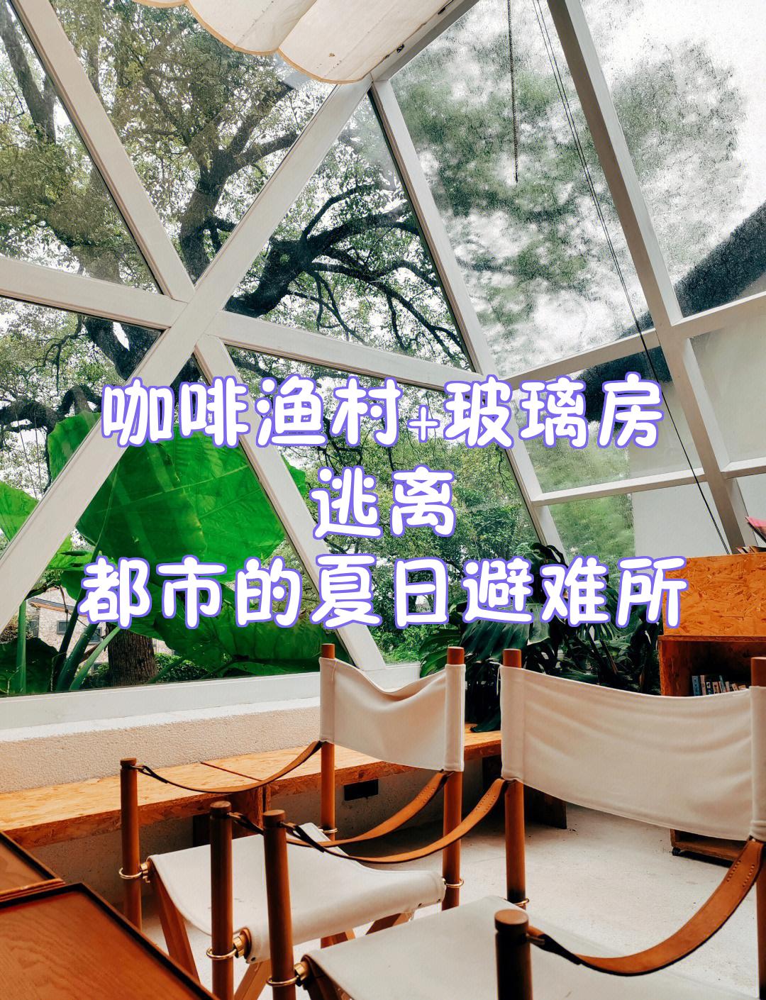 逃离宝藏岛屿攻略(逃离宝藏岛屿攻略大全)