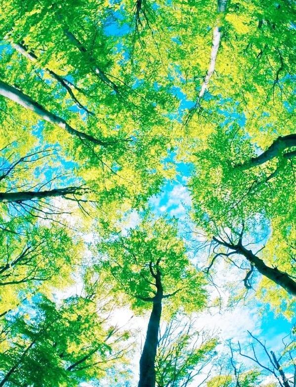 2025年10月1日 第94页