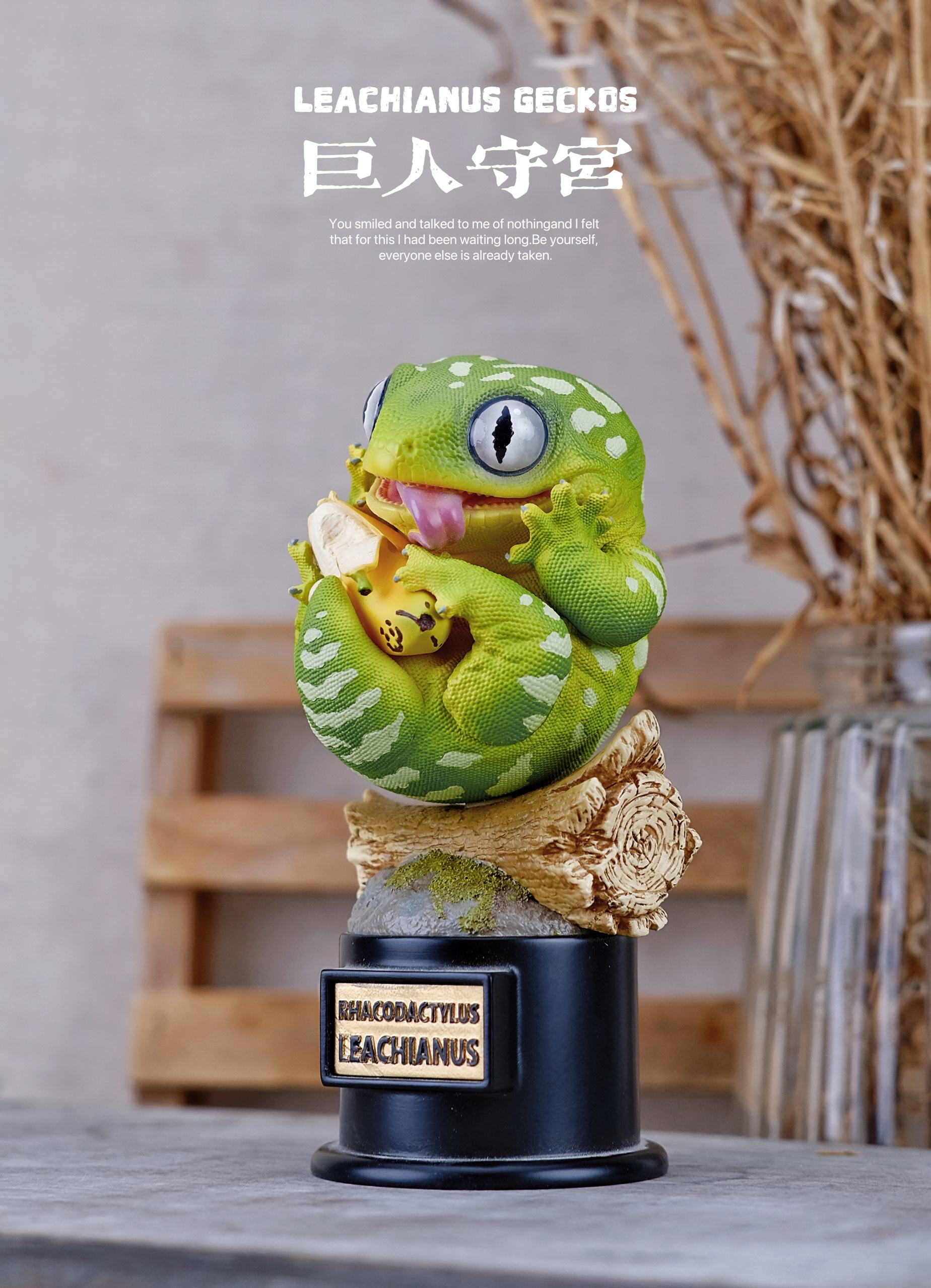 萌宅物语破解版19(萌宅物语破解版苹果版)