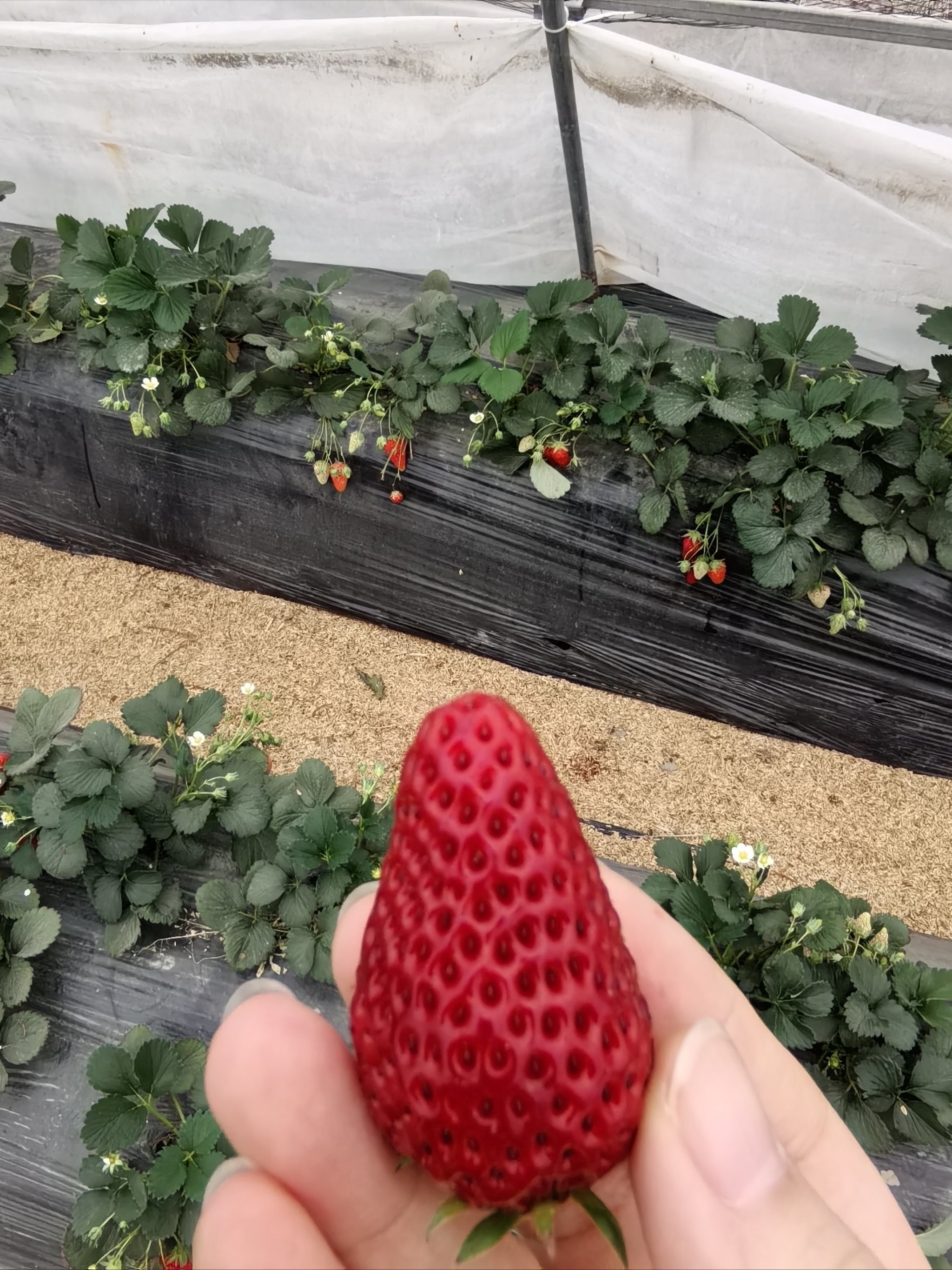 2025年10月1日 第46页