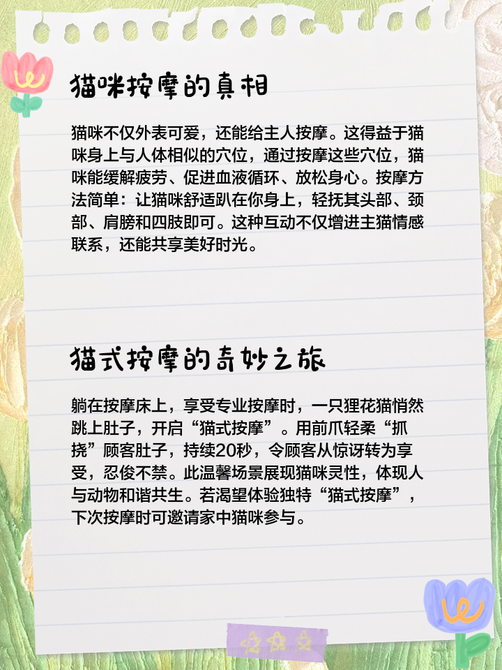小游戏猫咪找寿司攻略(小游戏猫咪找寿司攻略大全)