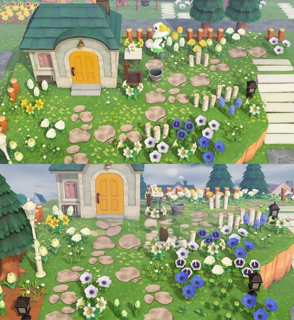 动物森林建岛攻略(动物森林建岛攻略图)