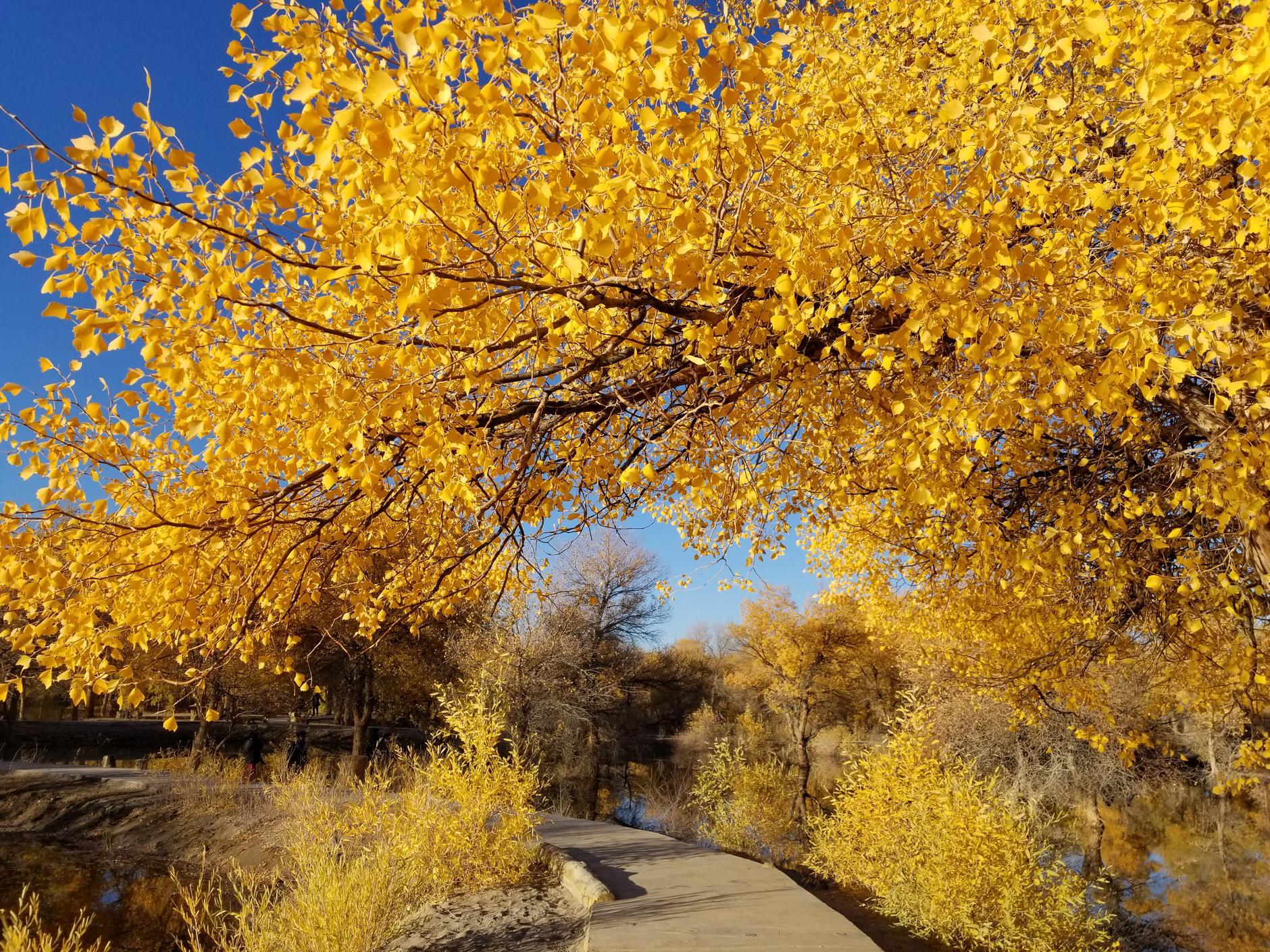晨光熹微攻略(晨光熹微所有的小说)