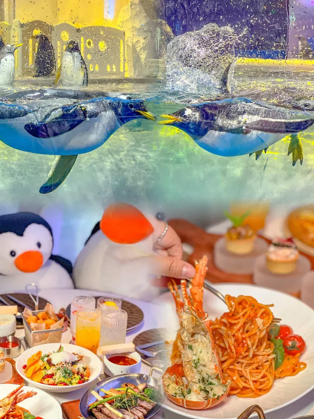 企鹅餐厅攻略(企鹅餐厅任务攻略)