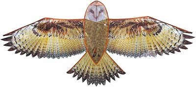 解谜游戏风筝攻略(解谜游戏风筝攻略视频)