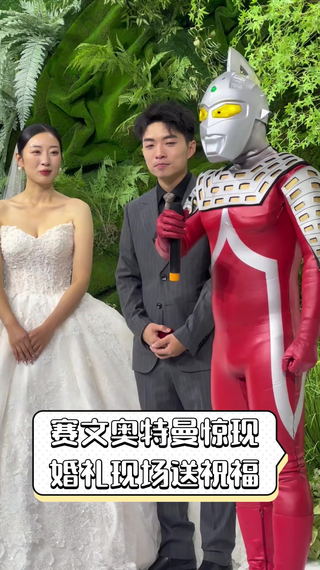 新娘和奥特曼结婚(新娘和奥特曼结婚是哪一集)