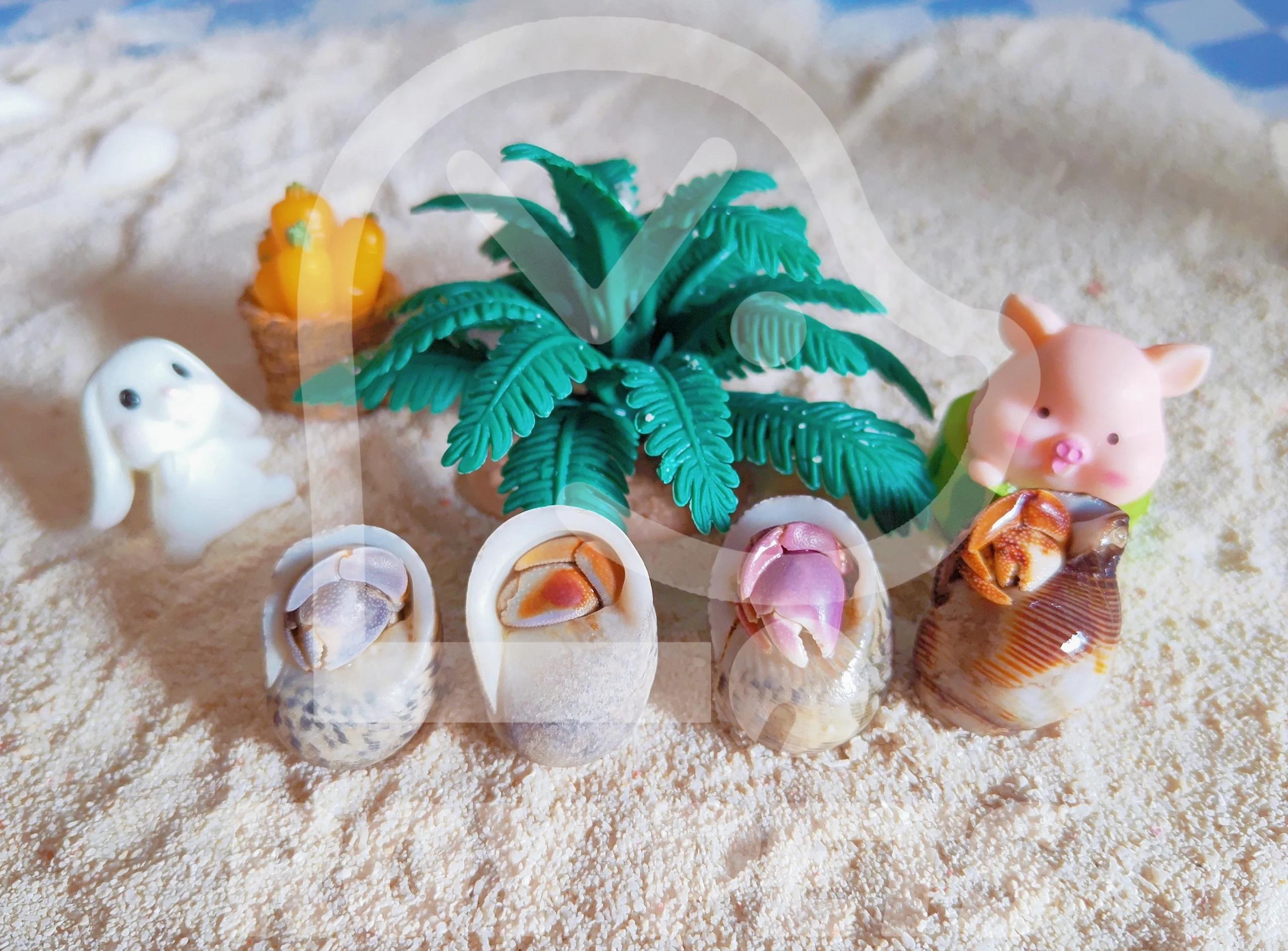 解救寄居蟹攻略(以赶出地图边缘的方式击杀寄居蟹)