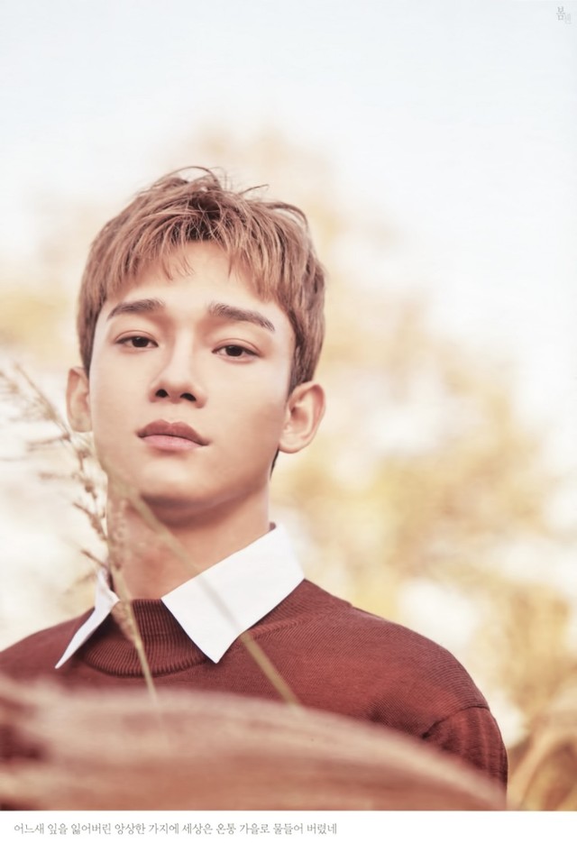 exo反派破解版(橙光exo反派翻身计划破解版)