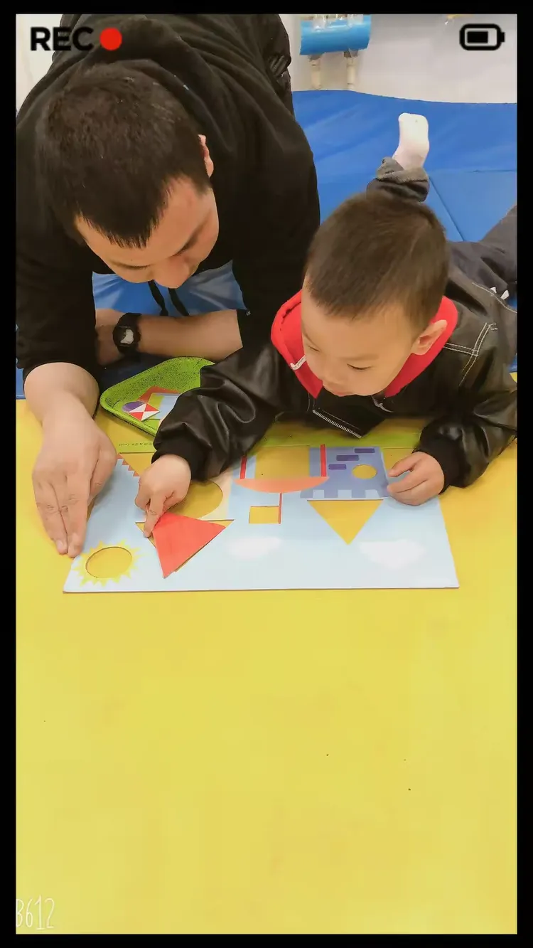 拯救形状王国的教案(拯救形状王国的教案怎么写)