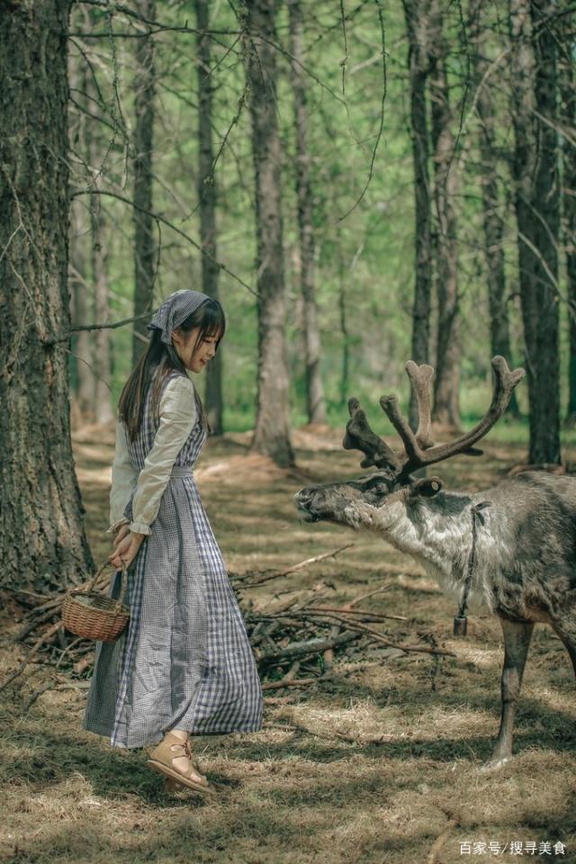 少女要来份驯鹿攻略()