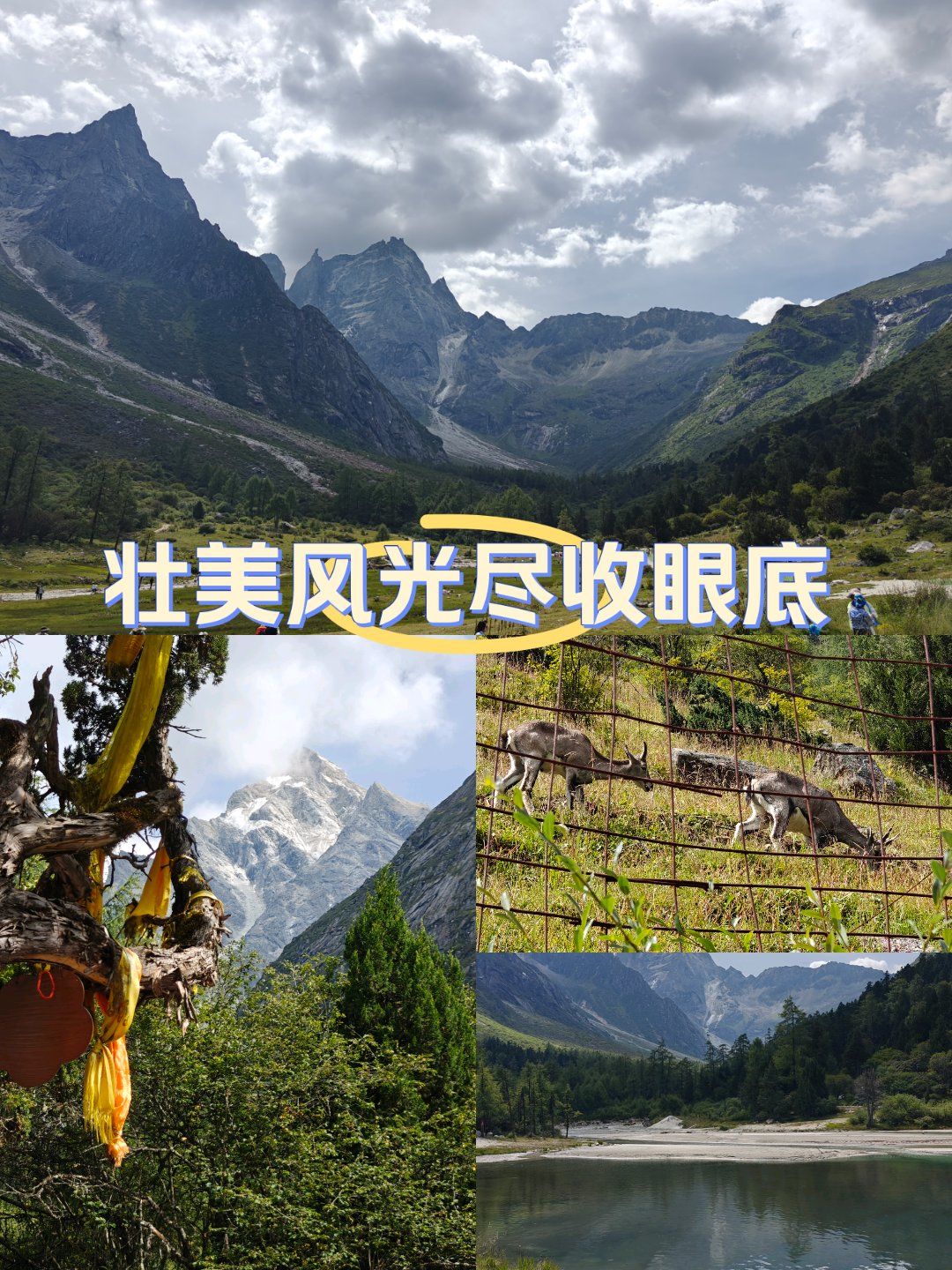 逃离水果山谷攻略(逃出密室水果迷屋攻略)