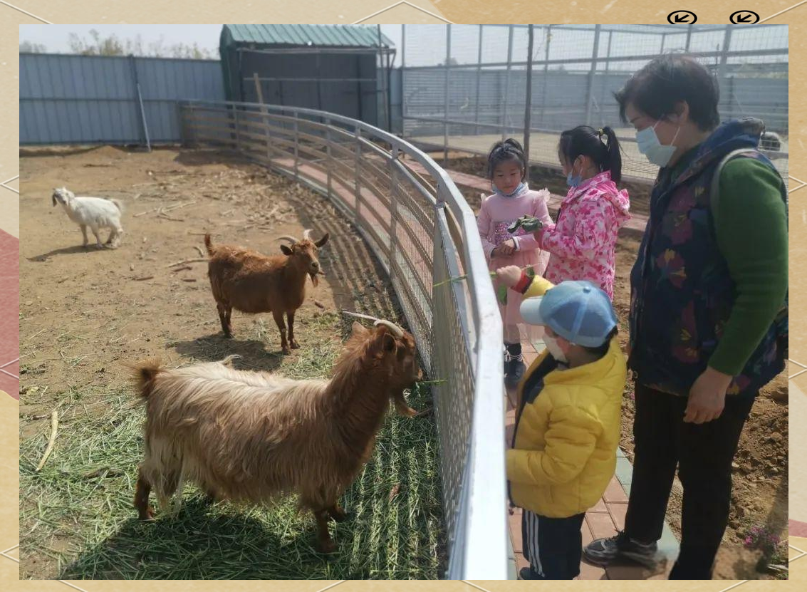 2025年10月7日 第77页