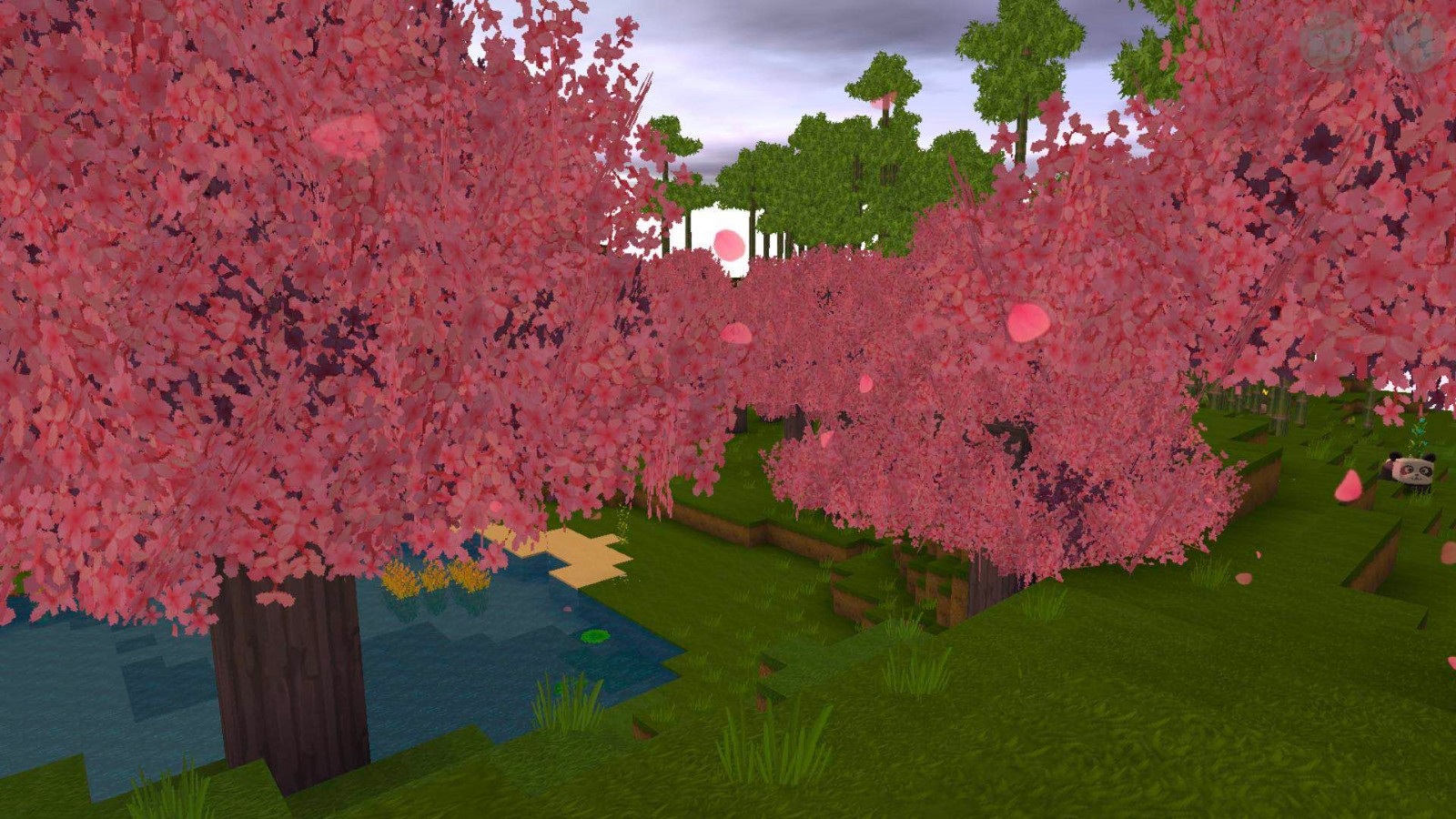 迷你世界雨林的地形图片(迷你世界雨林地图长什么样子)