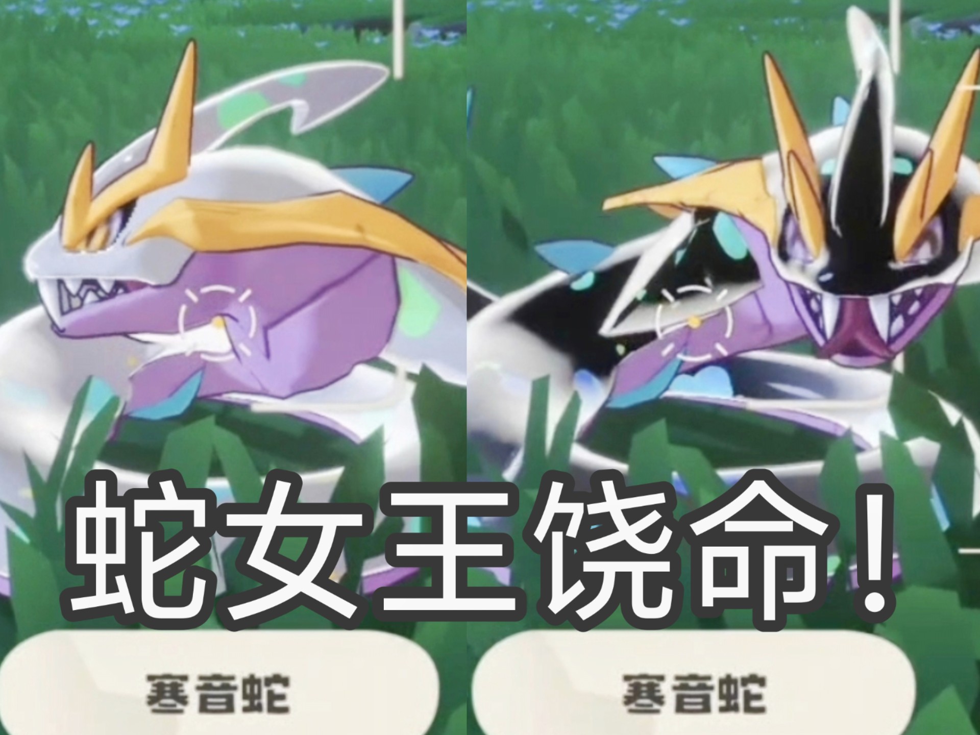 abab洛克王国双子响尾蛇(洛克王国双子座二阶蹦神平民打法)