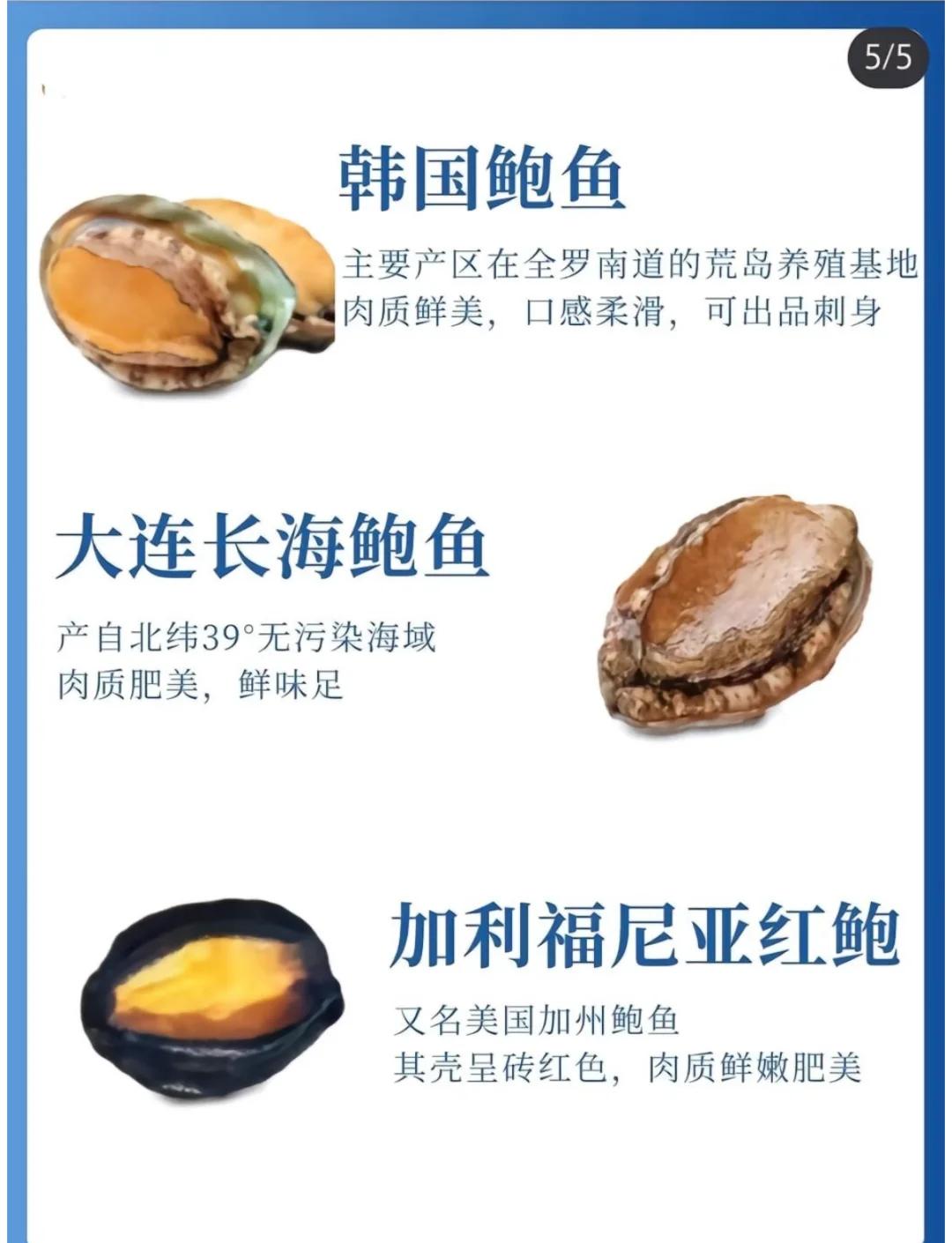 鲍鱼app下载地址分享(谁知道鲍鱼app在哪下载)