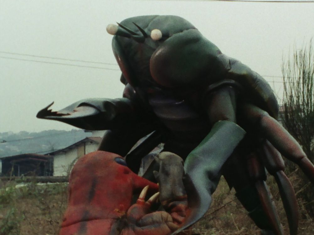 养的螃蟹铠甲勇士(铠甲勇士螃蟹兽图片)