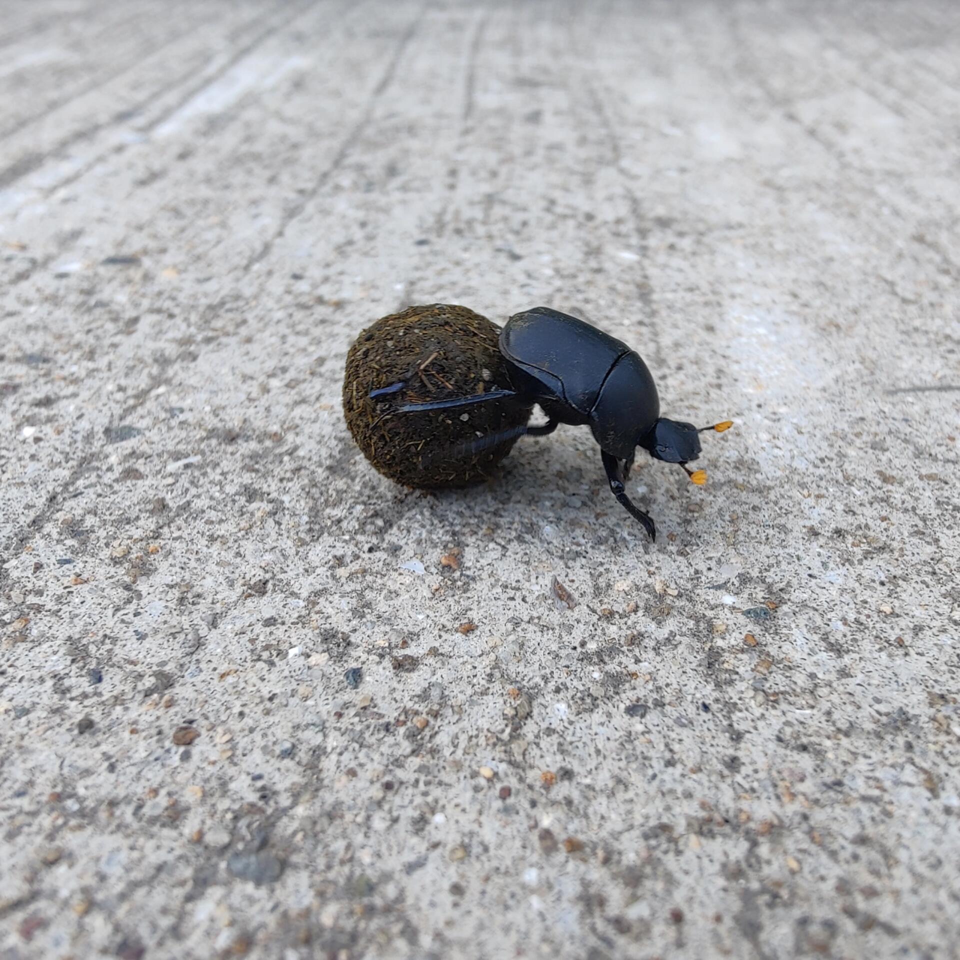 2025年10月9日 第111页