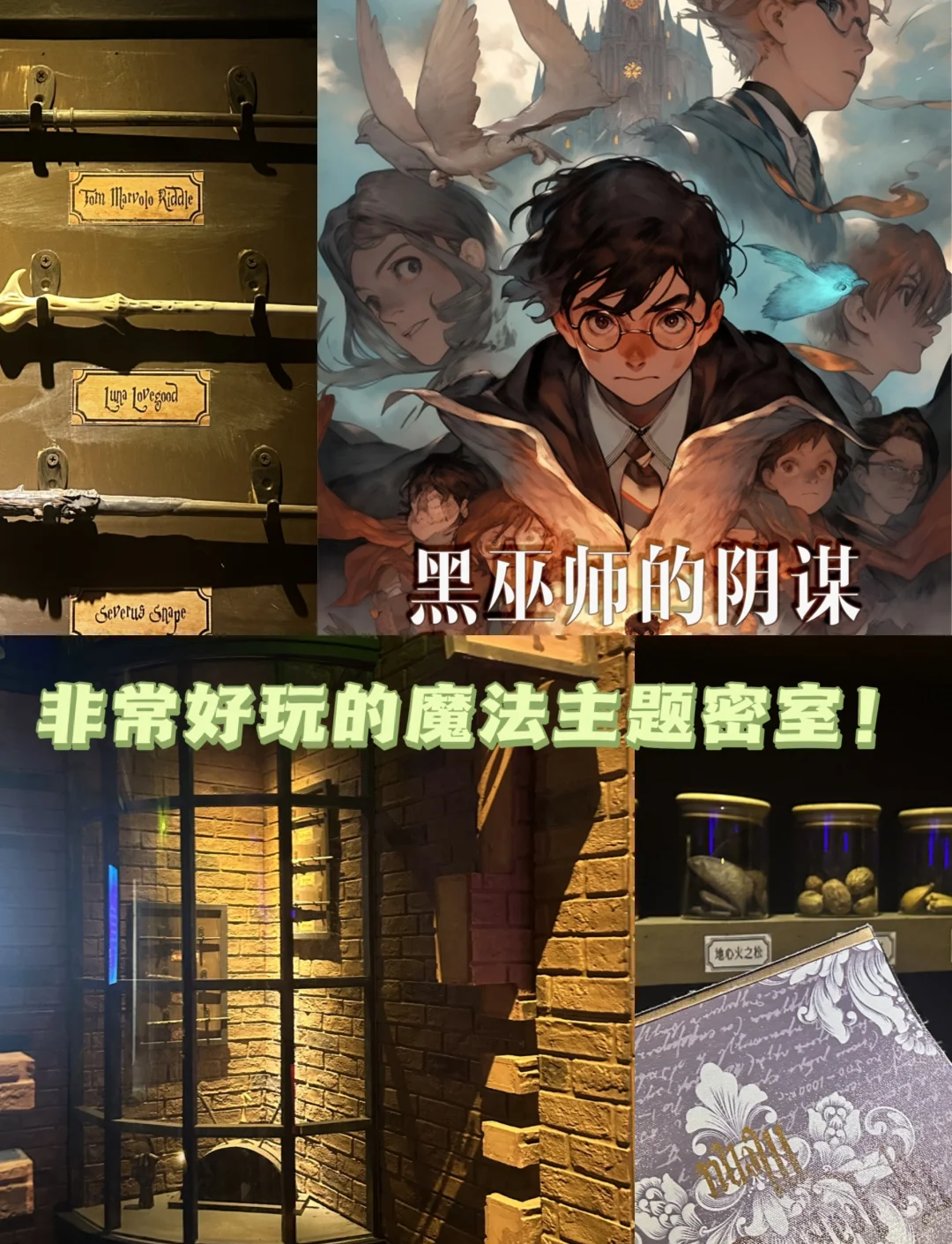 法老密室逃脱攻略(法老的宝藏密室逃脱)