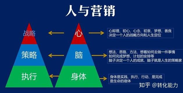经营人生破解版最新(经营人生破解版2021清软)