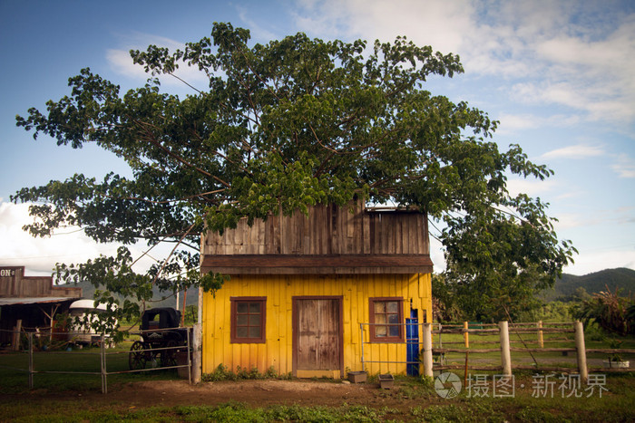 狂野大农场中文破解版(狂野大农场中文破解版下载)