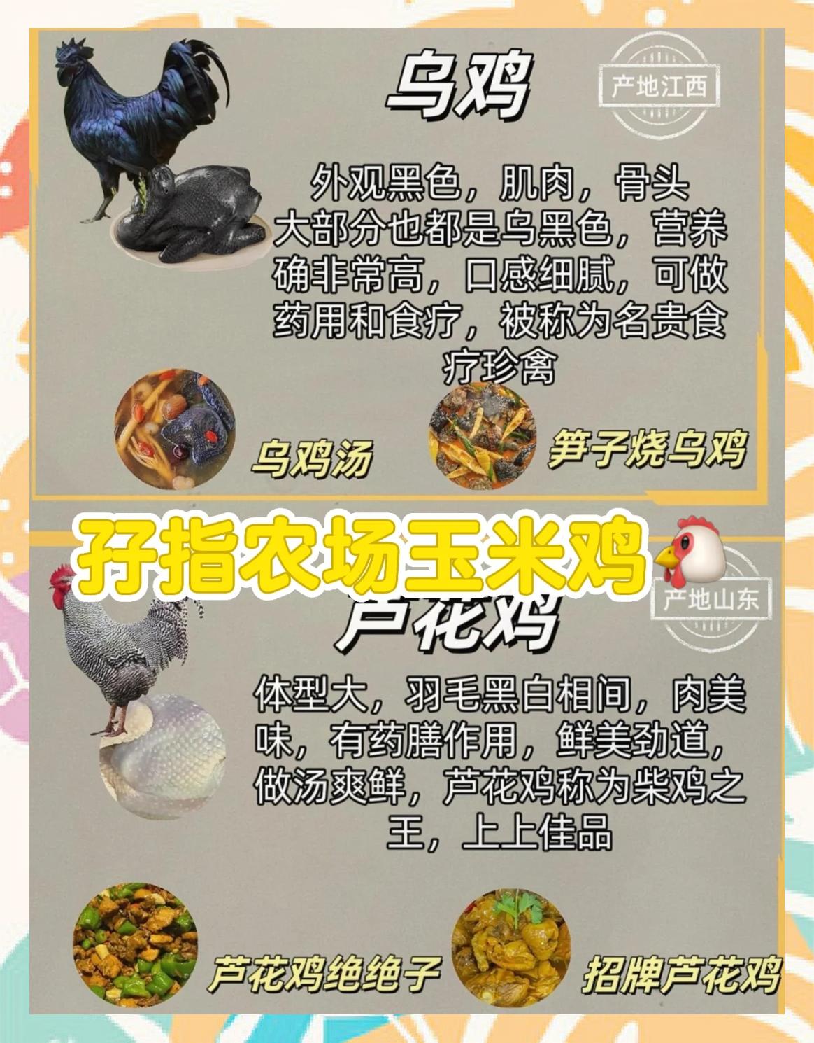 农场养鸡游戏攻略(农场养鸡游戏攻略图解)