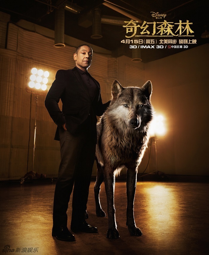 废墟逃脱全部攻略(废墟逃脱全部攻略大全)